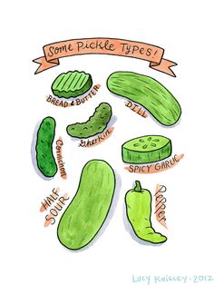 236x314 281 Best Pickles Images Board, Food Illustrations - Pickle Sketch
