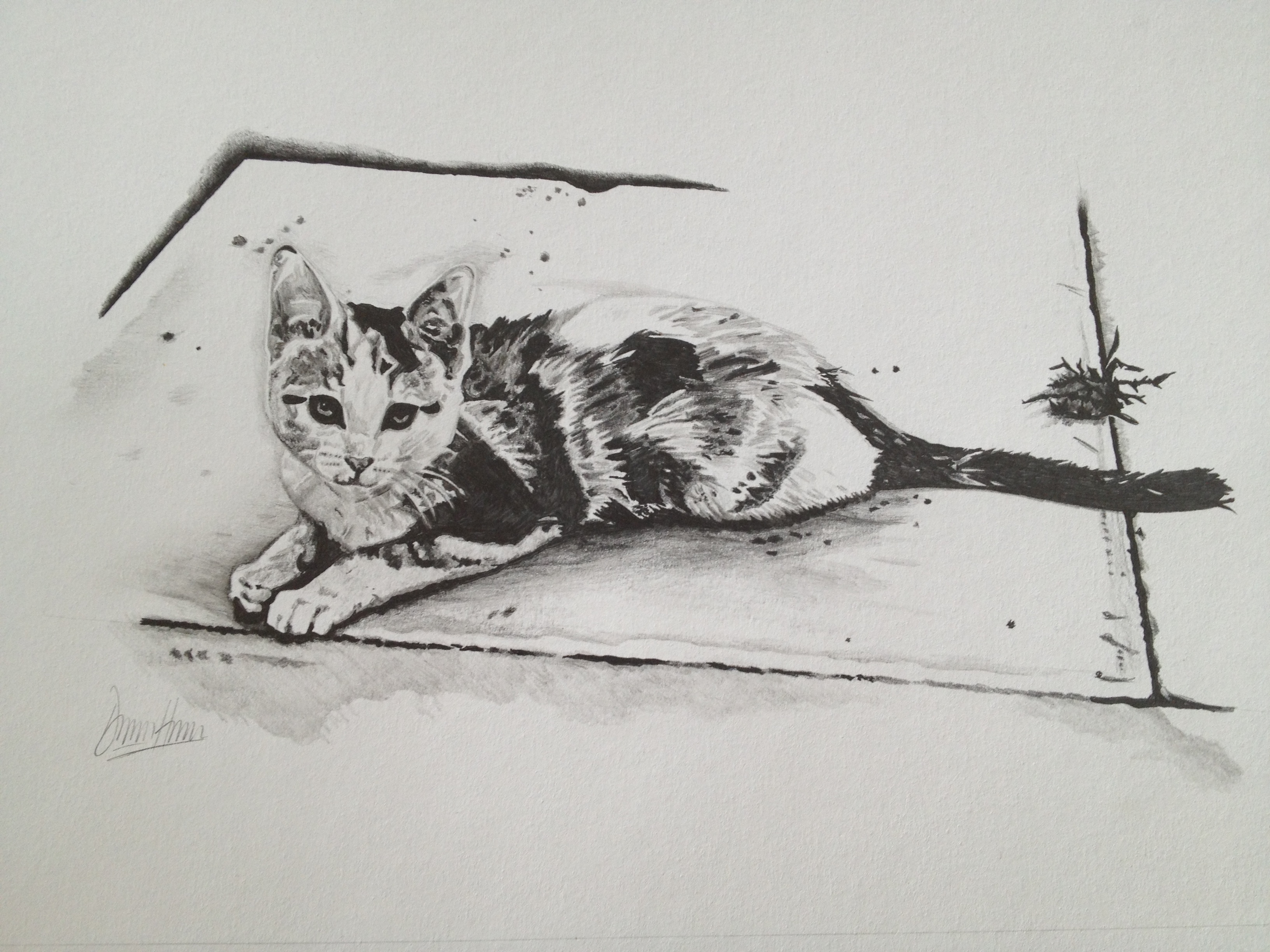 3264x2448 Pickle Duncan Drawing - Pickle Sketch