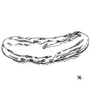 300x300 52 Drawings - Pickle Sketch