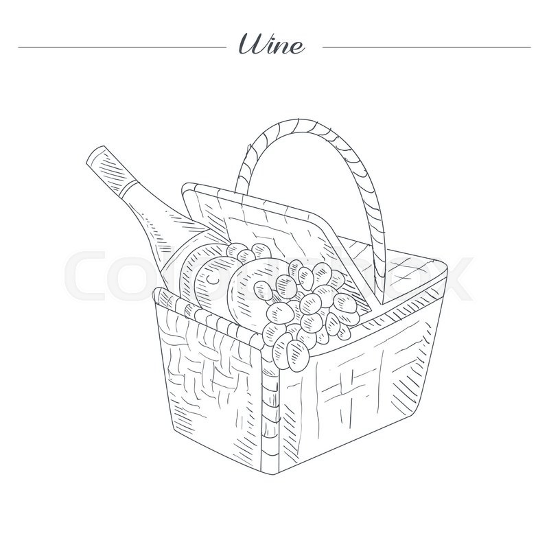 800x800 Picnic Basket With Wine Hand Drawn Realistic Detailed Sketch In - Picnic Basket Sketch