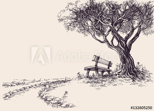 500x359 Park Sketch. A Wooden Bench Under The Tree - Picnic Table Sketch