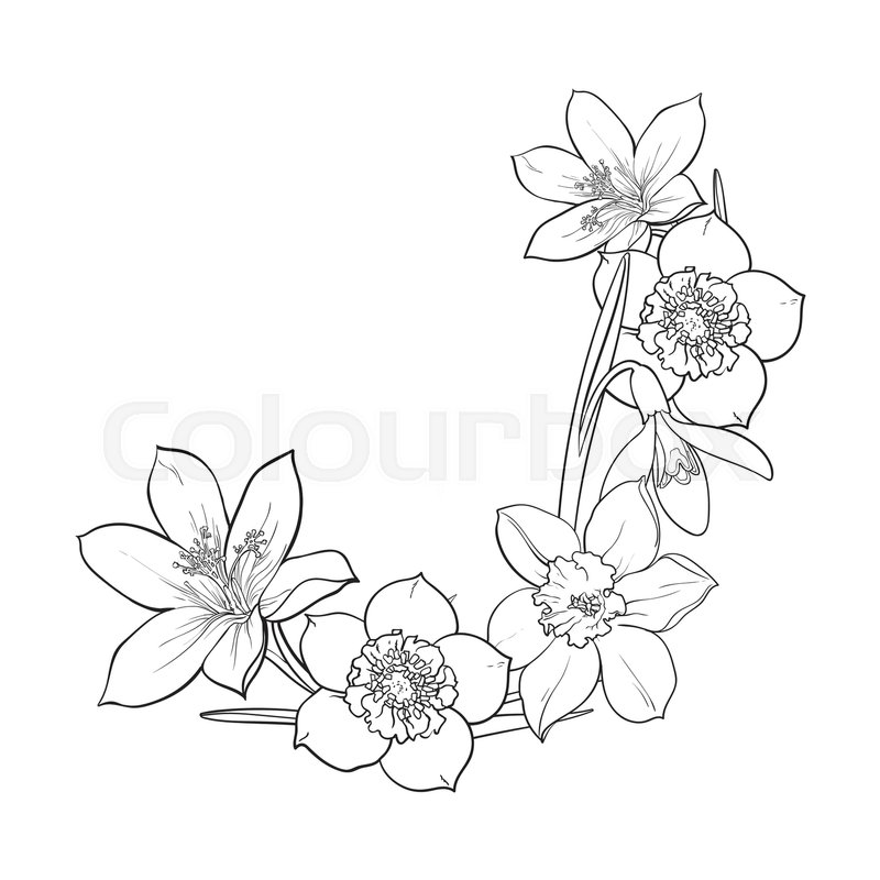 800x800 Half Frame Of Spring Flowers, Decoration Element, Sketch Vector - Picture Frame Sketch