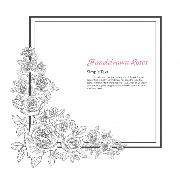 626x626 Flower Frame Of Rose. Drawing And Sketch On White Background - Picture Frame Sketch