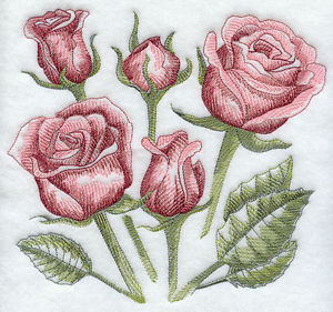 300x281 Sketched Roses - Pictures Of Sketched Roses