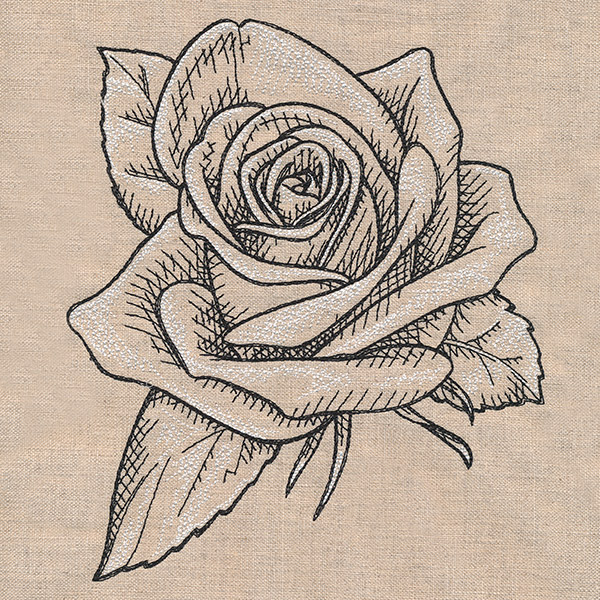 600x600 Sketched Rose Urban Threads Unique And Awesome Embroidery Designs - Pictures Of Sketched Roses