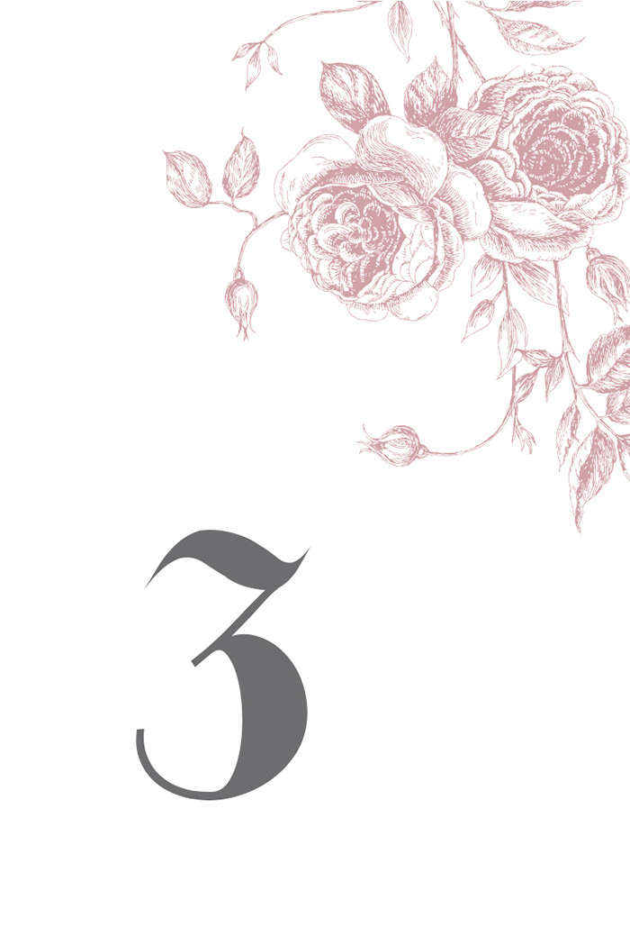 700x1049 Sketched Roses - Pictures Of Sketched Roses