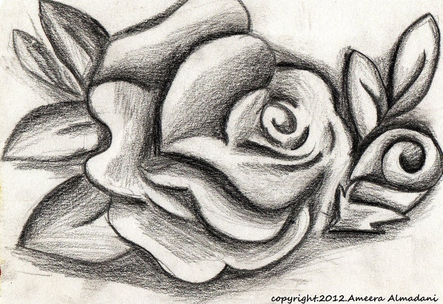 900x618 The Sketched Rose ~ By Lostwithlove - Pictures Of Sketched Roses