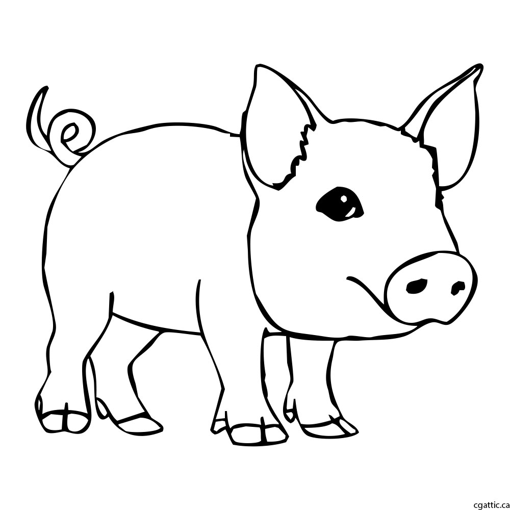 1000x1000 Pig Cartoon Drawing In 4 Steps With Photoshop - Pig Cartoon Sketch