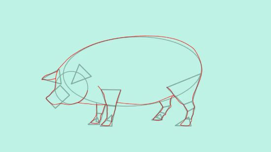550x309 How To Draw A Pig 14 Steps (With Pictures) - Pig Face Sketch