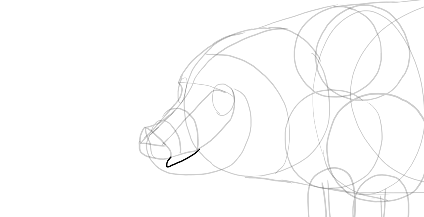850x435 How To Draw A Pig - Pig Face Sketch