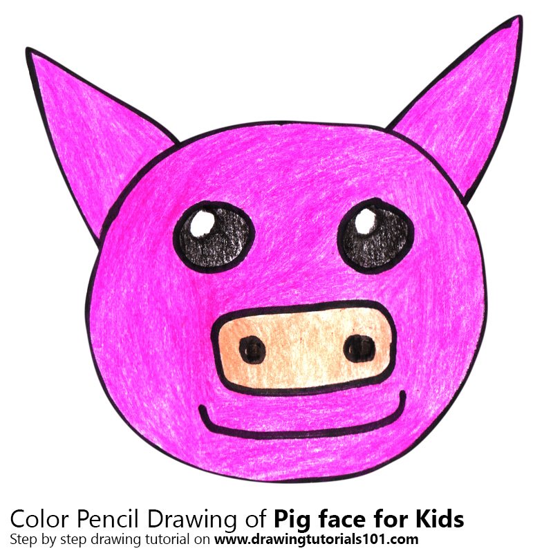800x800 Learn How To Draw A Pig Face For Kids (Animal Faces For Kids) Step - Pig Face Sketch