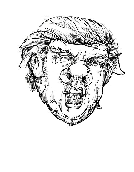 429x550 Pig Face Donald Posters By Dru1138 Redbubble - Pig Face Sketch