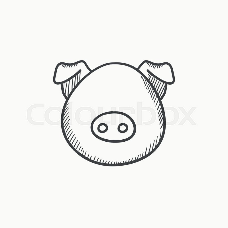 800x800 Pig Head Vector Sketch Icon Isolated On Background. Hand Drawn Pig - Pig Face Sketch
