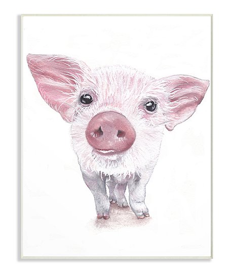 452x543 Stupell Industries Pig Face Wall Art Zulily - Pig Face Sketch