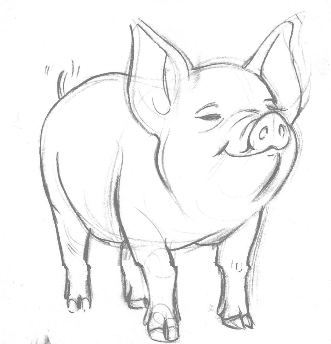 1085x1129 Charlottes Web Sketches Pig By ~lonelyangelsansa - Pig Face Sketch
