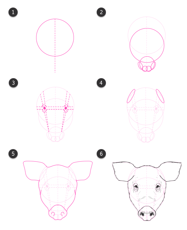 600x736 How To Draw Animals Domestic Pigs, Wild Boars, And Warthogs - Pig Head Sketch