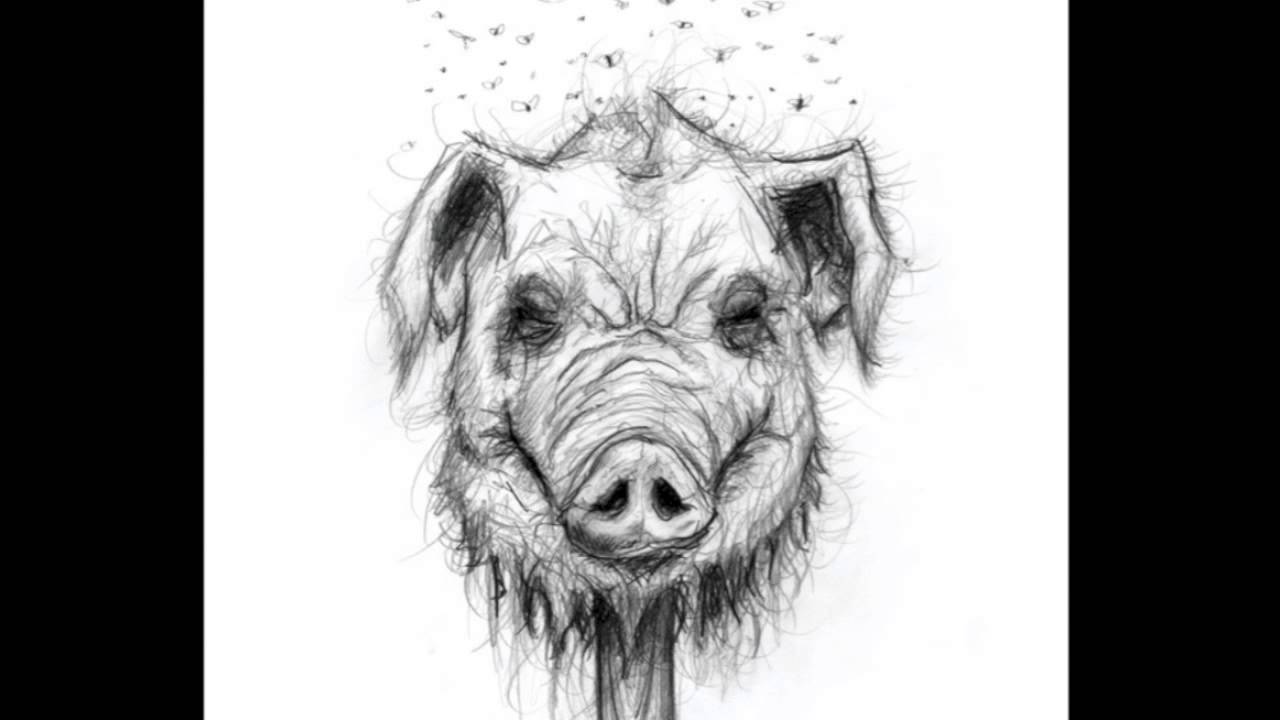 1280x720 Lord Of The Flies - Pig Head Sketch