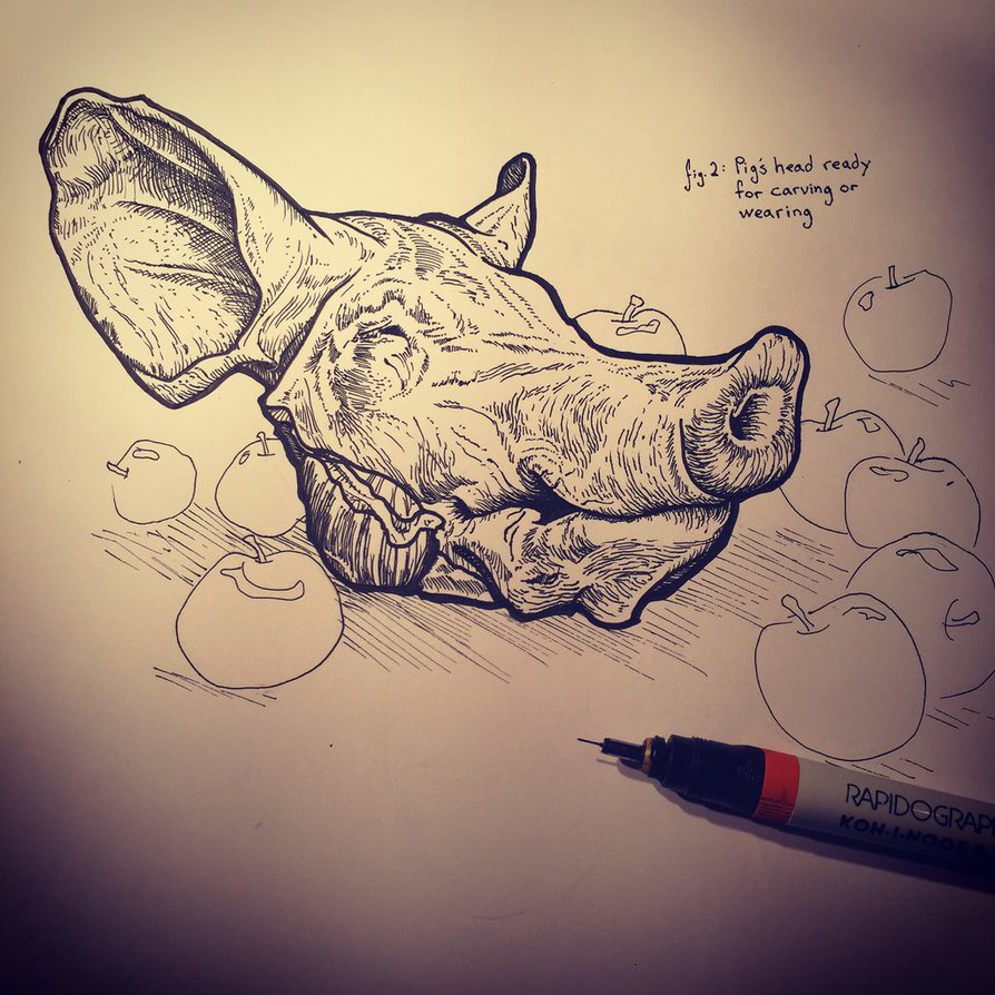 894x894 Pig Head Sketch By Chrispanatier - Pig Head Sketch