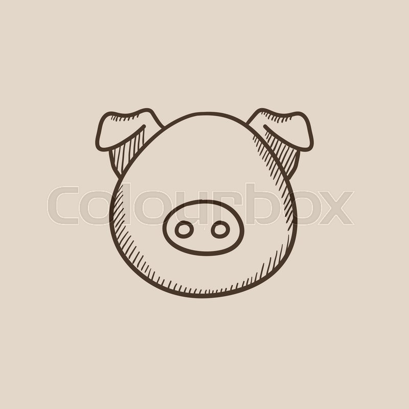 800x800 Pig Head Sketch Icon For Web, Mobile And Infographics. Hand Drawn - Pig Head Sketch
