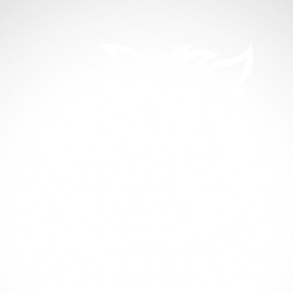 600x600 Simple Color Vinyl Razorback Wild Pig Head Stickers Factory - Pig Head Sketch