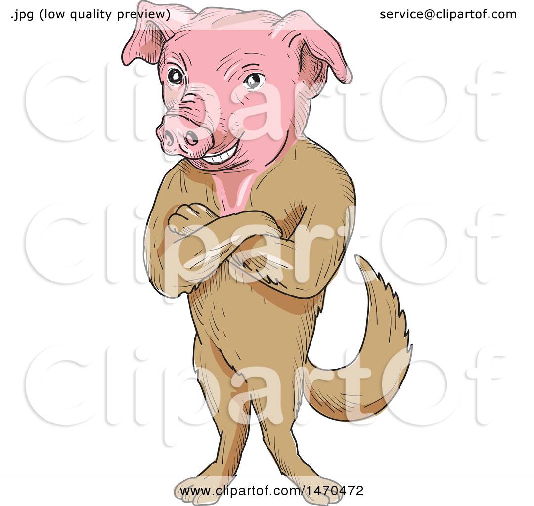 1080x1024 Clipart Of A Creature With A Pig Head And Dog Body In Cartoon - Pig Head Sketch