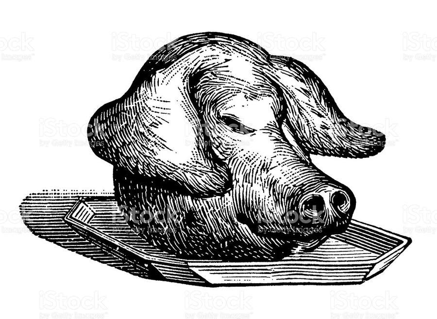 900x659 Download Pig Head Clip Art Clipart Pig Clip Art Pig,illustration - Pig Head Sketch