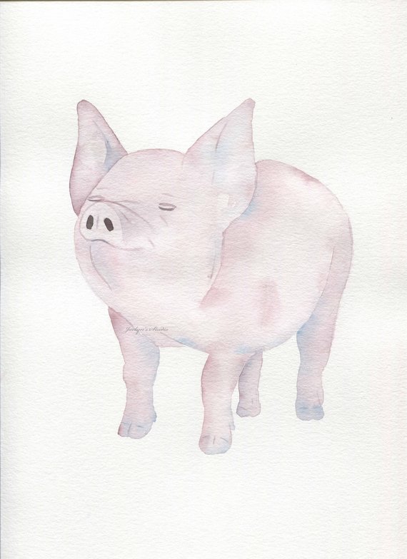 570x784 Original Watercolor Pig 810 Pig Painting Pig Etsy - Pig Sketch