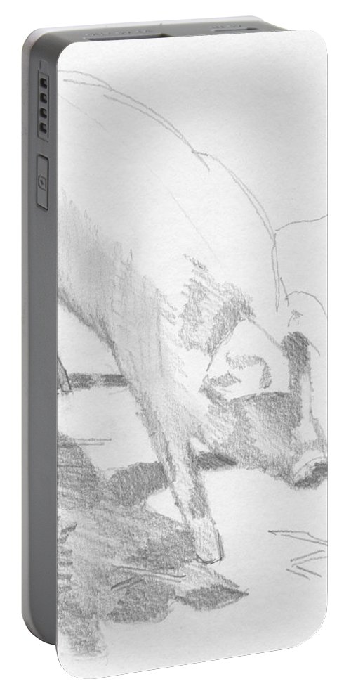 500x993 Pig Sketch Portable Battery Charger For Sale By Mike Jory - Pig Sketch
