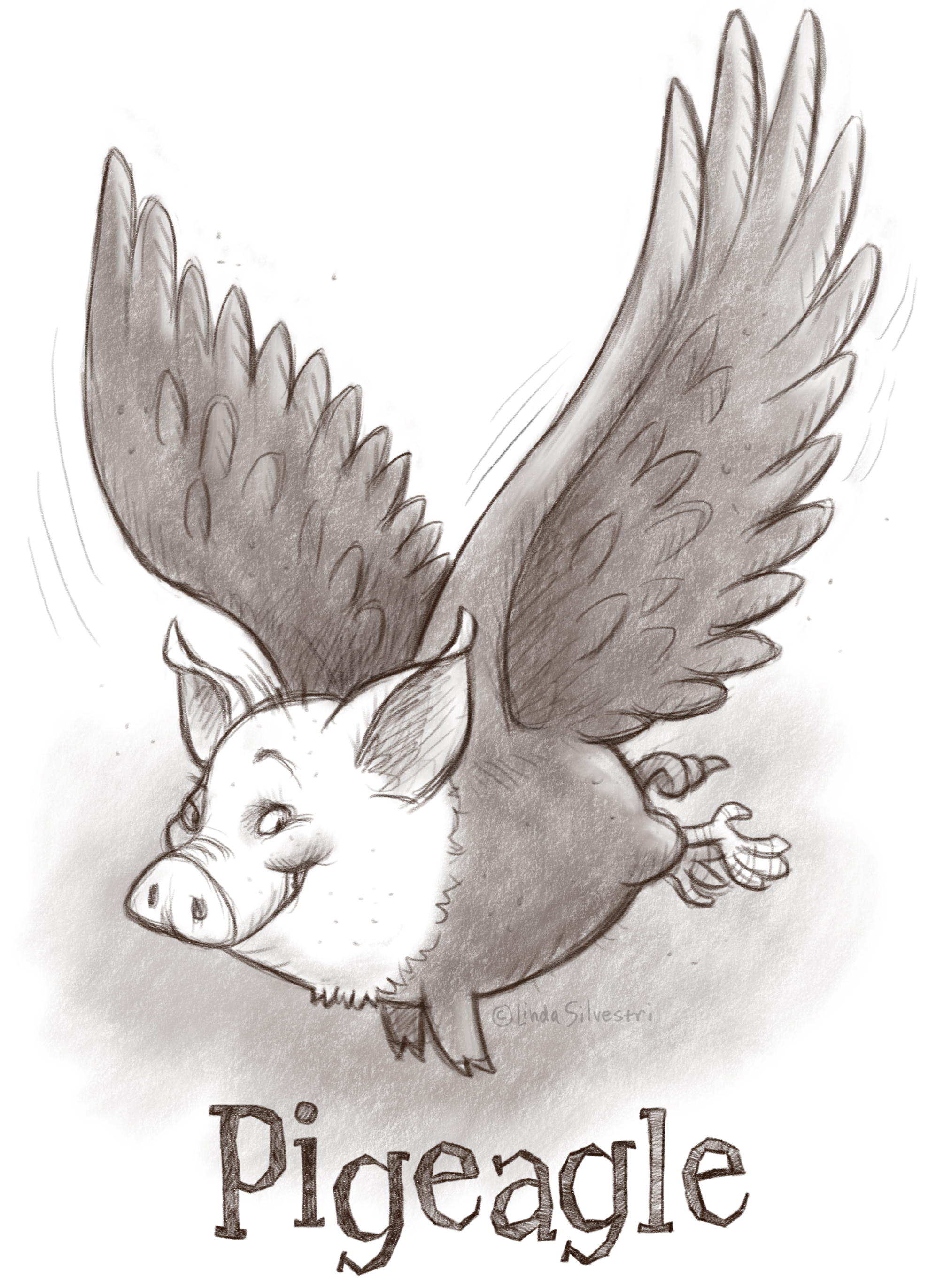 1976x2742 Pig Sketched Out - Pig Sketch