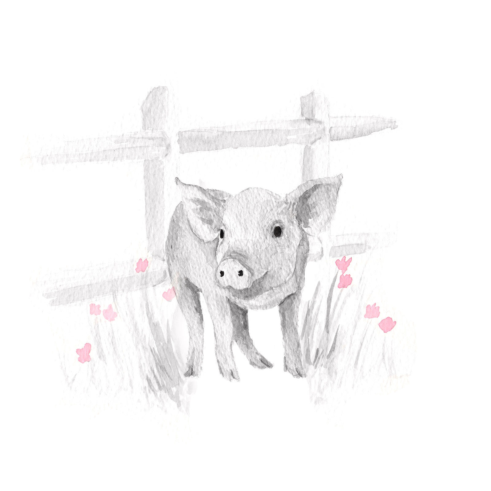 1600x1600 Framed Art Pig Sketch With Pink 11x14 In. At Home - Pig Sketch