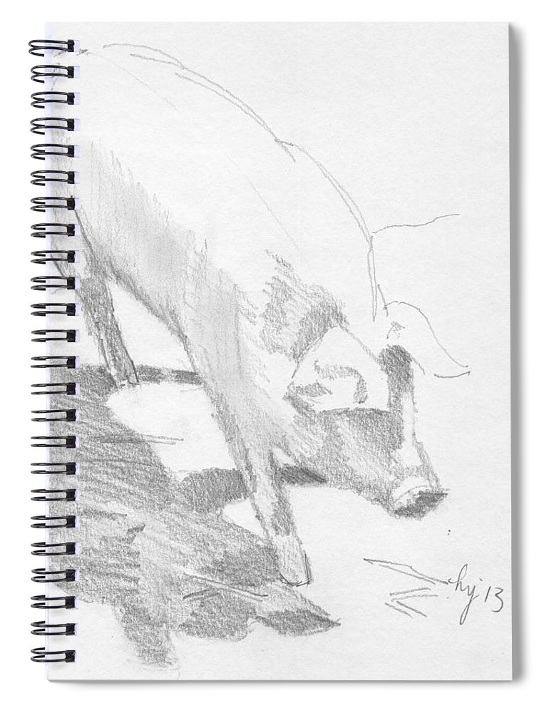 770x1000 Pig Sketch Spiral Notebook For Sale By Mike Jory - Pig Sketch Images