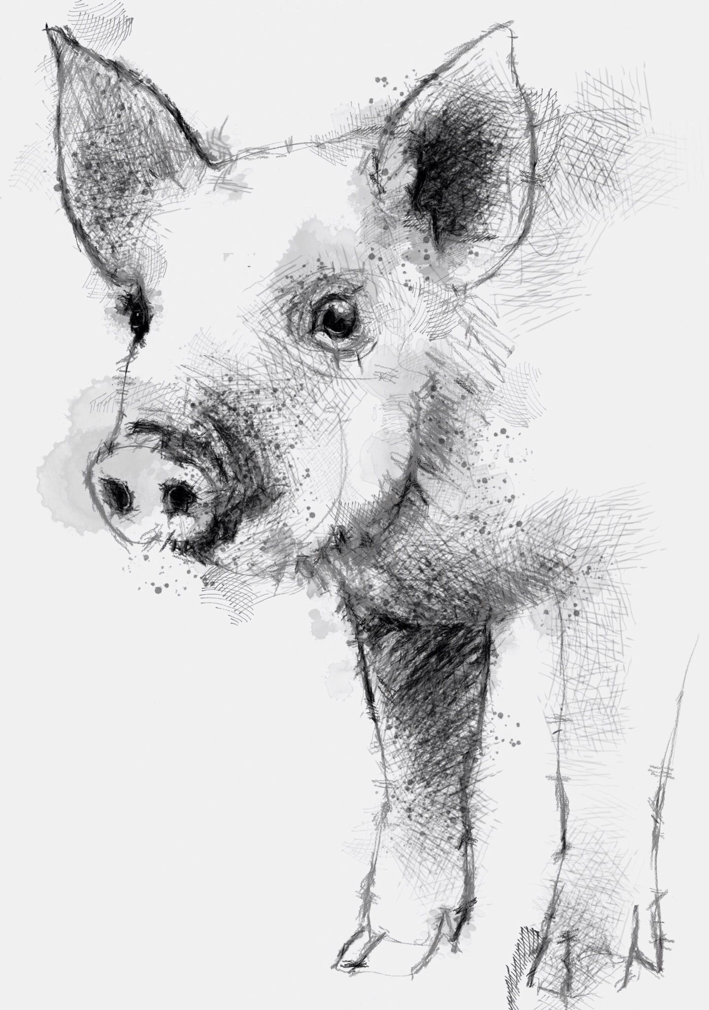 1439x2048 Piglet In 2018 Piirrosmalleja Pig Drawing - Pig Sketch Images
