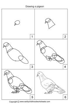 236x354 The 228 Best Pigeon Love Images Birds, Pigeon And - Pigeon Pencil Sketch