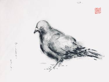 375x281 Pigeon Drawing By Emma Windsor Liscombe Saatchi Art - Pigeon Sketch