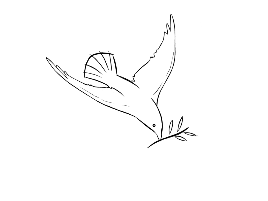 900x675 Pigeon Sketch By Marianads - Pigeon Sketch