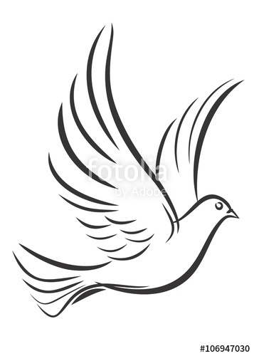 357x500 Sketch Of The Flying Pigeon. Stock Photo And Royalty Free Images - Pigeon Sketch