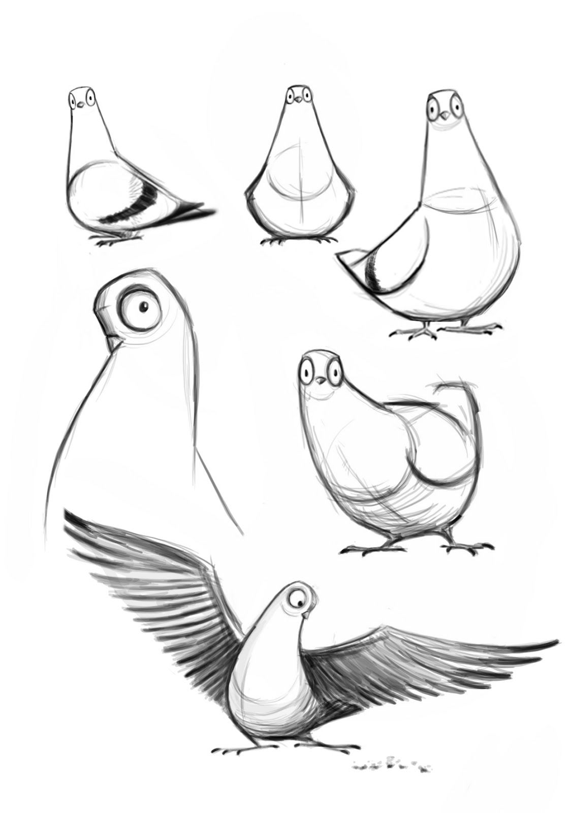 1120x1600 Some Character Designs Of Pigeons I Completed Last Night For A - Pigeon Sketch