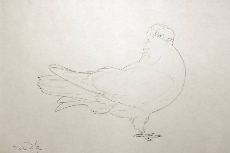 770x514 Fancy Pigeon Sketch Drawing By Igor Pose Saatchi Art - Pigeon Sketch