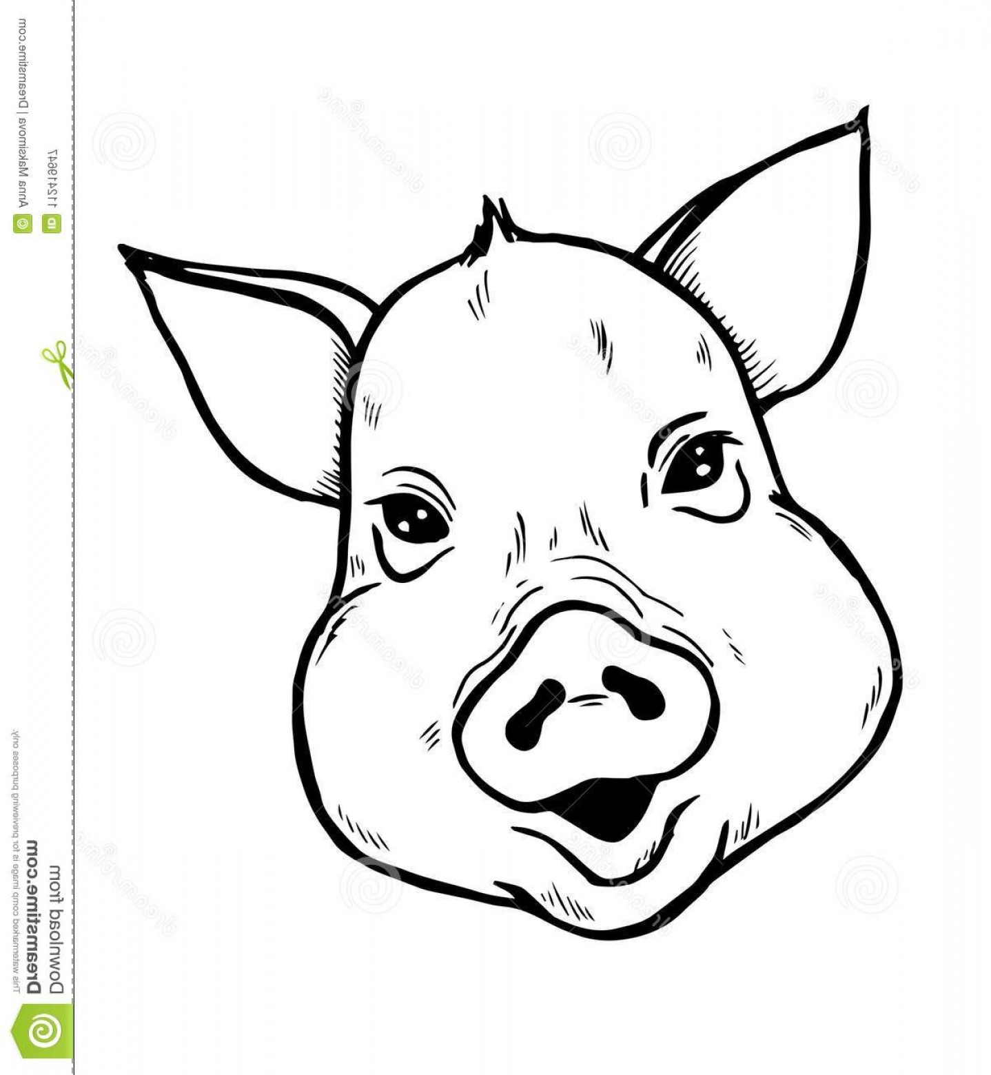 1438x1560 Piglet Portrait Young Pig Head Sketch Black White Vector - Piglet Sketch