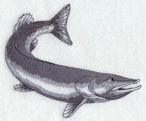 570x473 Northern Pike Sketch Machine Embroidered Quilt Block Azeb - Pike Sketch
