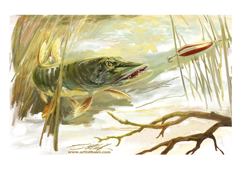 850x606 Northern Pike Fishing Art Painting Sketch For Sale, Great - Pike Sketch