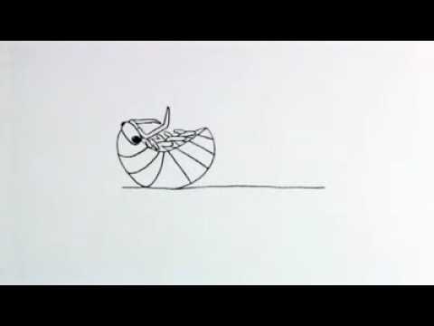 480x360 Pill Bug Animation - Pill Bug Sketch