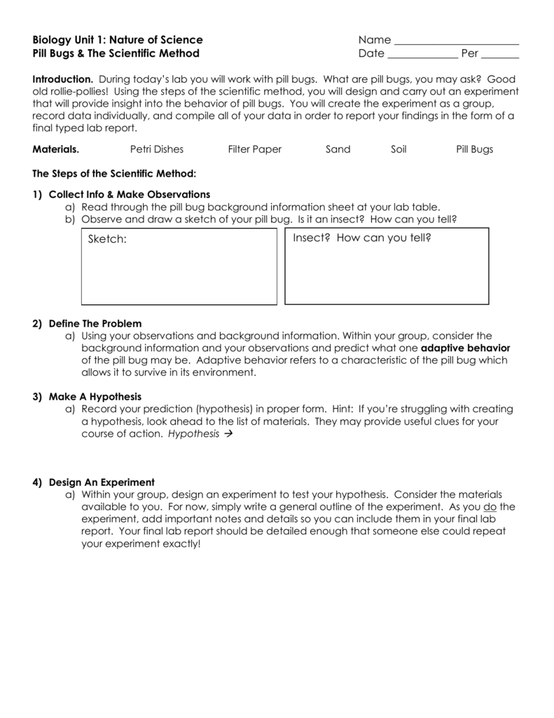 791x1024 Pill Bug Lab - Pill Bug Sketch