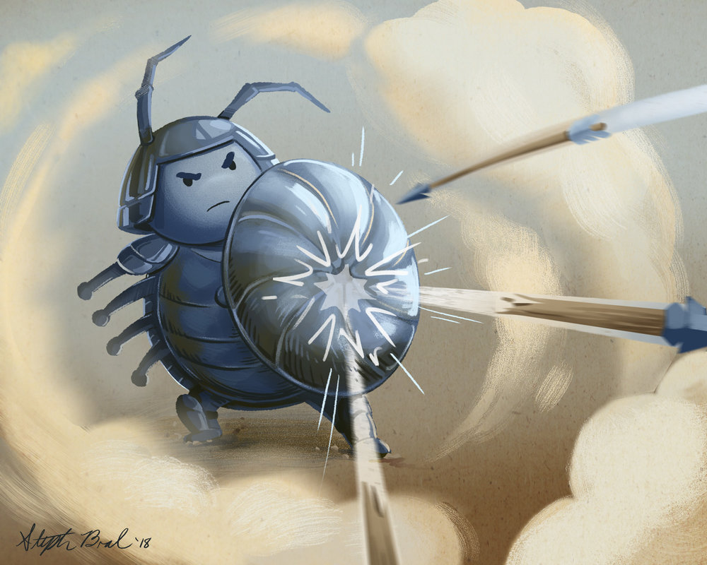 1000x800 Pill Bug Warrior Steph Bral Illustrator - Pill Bug Sketch