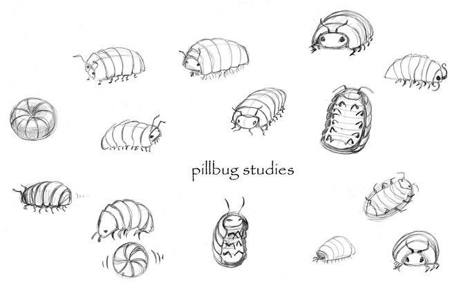 680x417 Tinkerbell 2 - Pill Bug Sketch