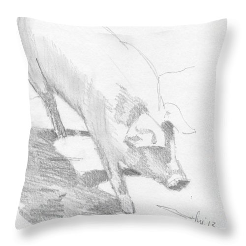 500x500 Pig Sketch Throw Pillow For Sale By Mike Jory - Pillow Sketch
