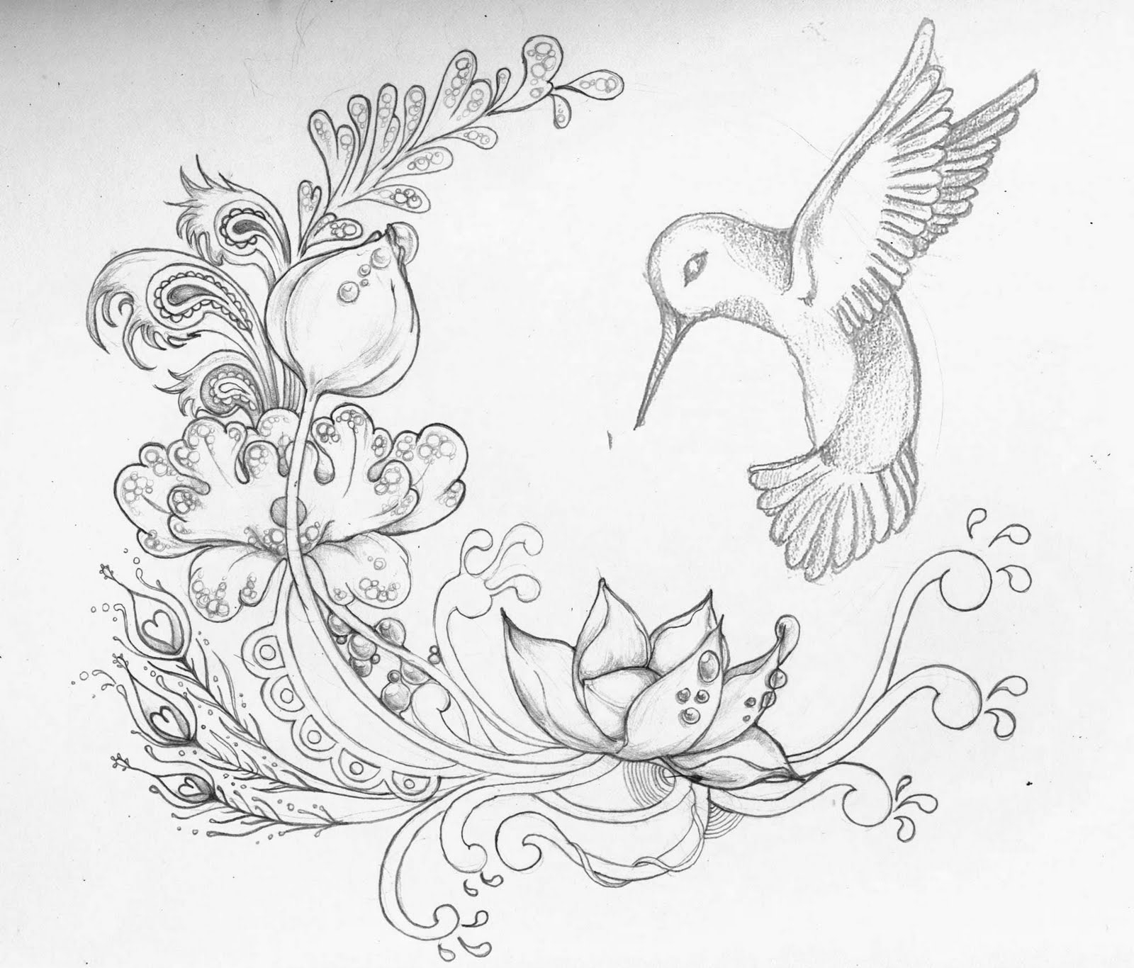 1600x1366 Sketch Draw Of Beautiful Flowers With Birds Lotus Flower Drawings - Pin Sketch
