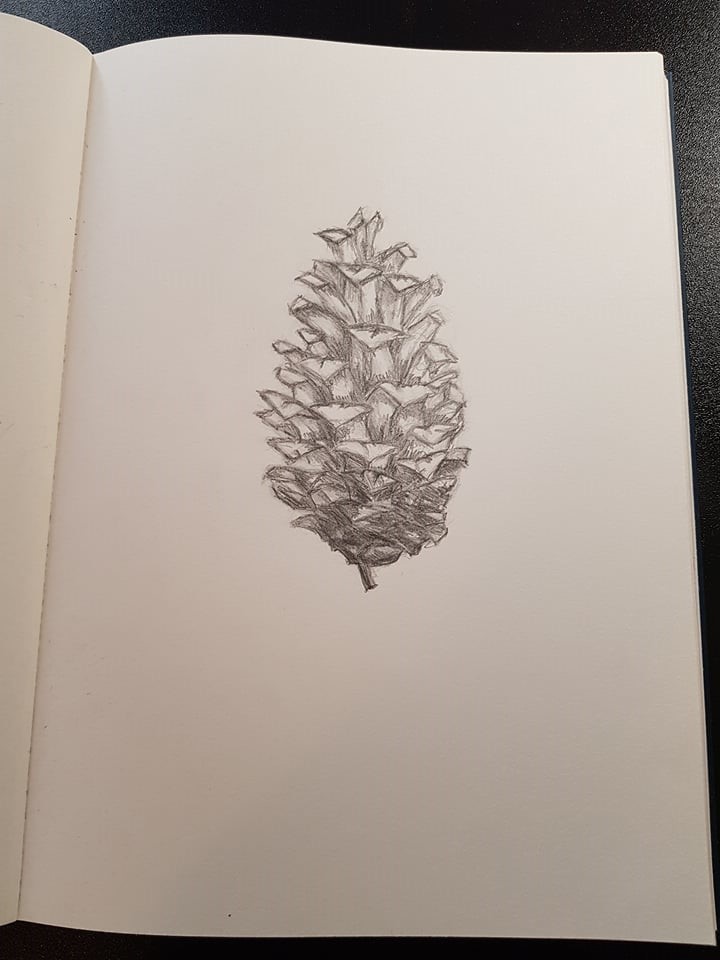 720x960 Artstation - Pine Cone Sketch