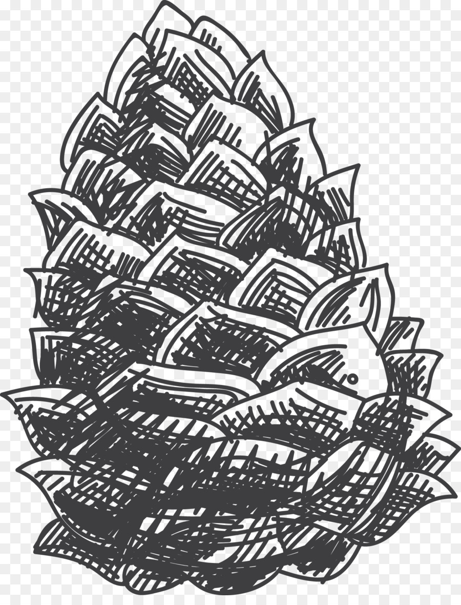 900x1180 Drawing Black And White Croquis Sketch - Pine Cone Sketch