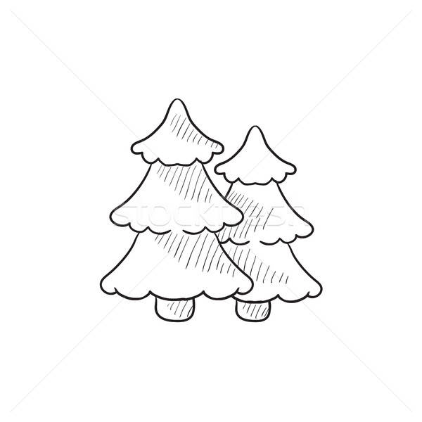 600x600 Pine Trees Sketch Icon. Vector Illustration Andrei Krauchuk - Pine Tree Sketch